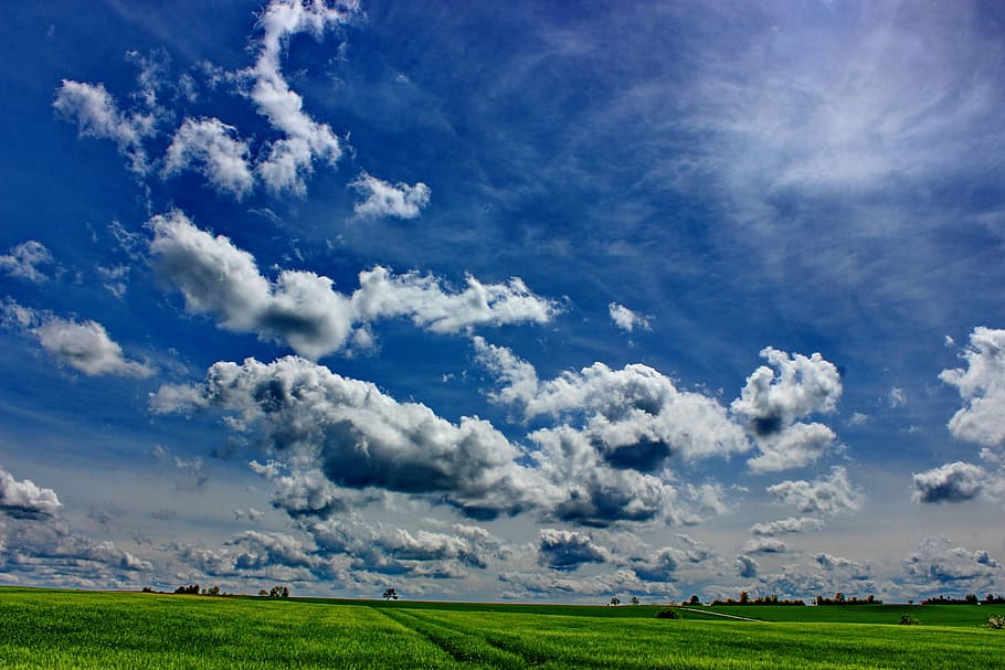clouds and green grass field, landscape, nice weather, nature HD wallpaper