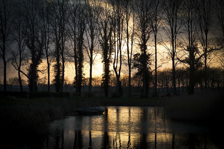 evening red, twilight, water, trees, vote, abendstimmung, landscape HD wallpaper