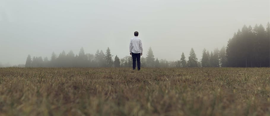 man standing on grass covered with fog at daytime, selective HD wallpaper