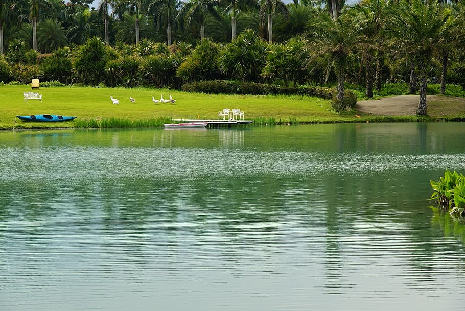 taiwan, landscape, pet, nature, water, nautical Vessel, river HD wallpaper