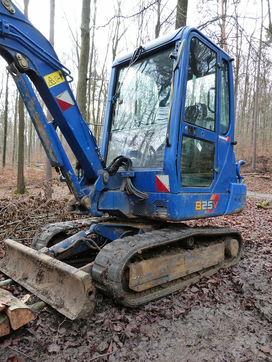 forest, wood, tree, tree cases, forest work, vehicle, excavators HD wallpaper