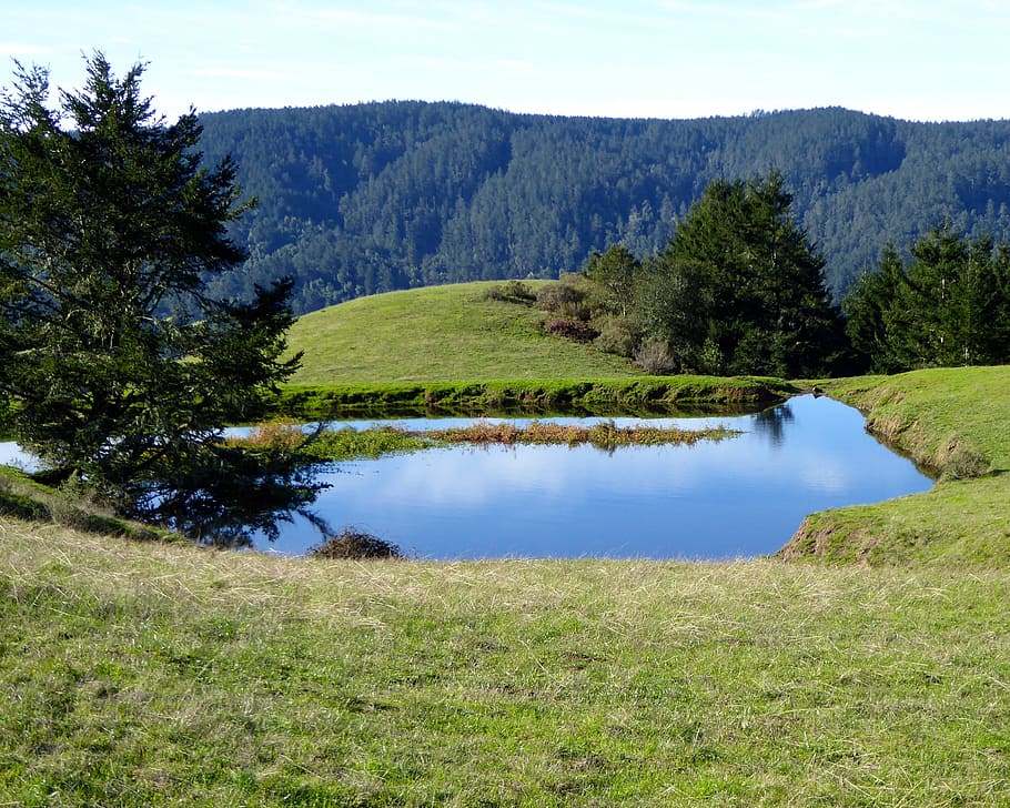 landscape, nature, tranquility, blue, meadow, outdoor, field HD wallpaper
