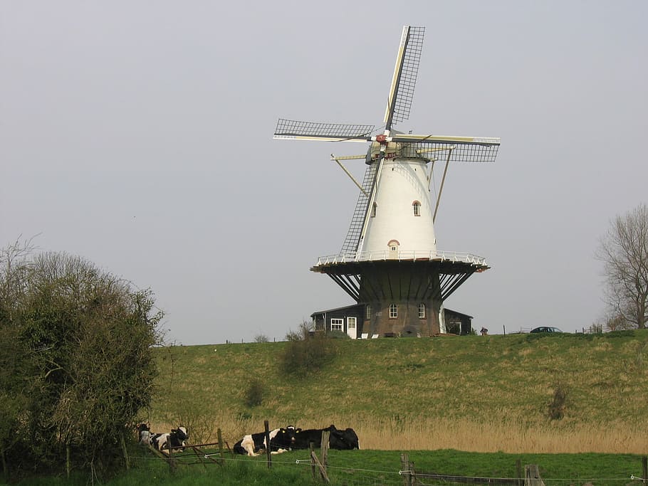Windmill, Netherlands, Historic, environmental conservation HD wallpaper