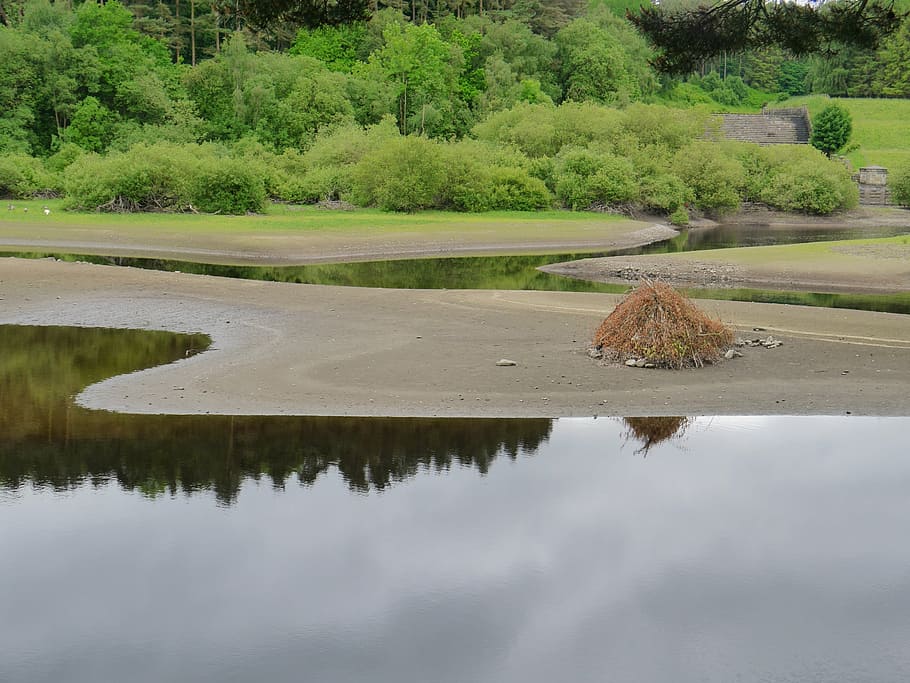 lake, reflection, water, park, nature, calm, plant, tree, tranquility HD wallpaper
