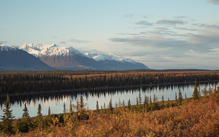 calm body of water in between trees, brown field near river and snow-covered mountains HD wallpaper
