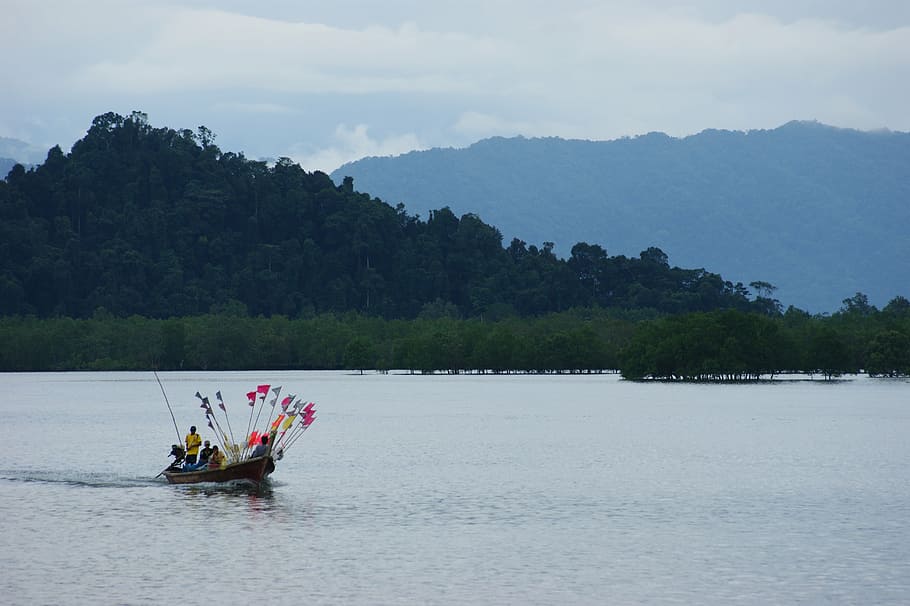 ranong, thailand, water, nautical vessel, transportation, tree HD wallpaper