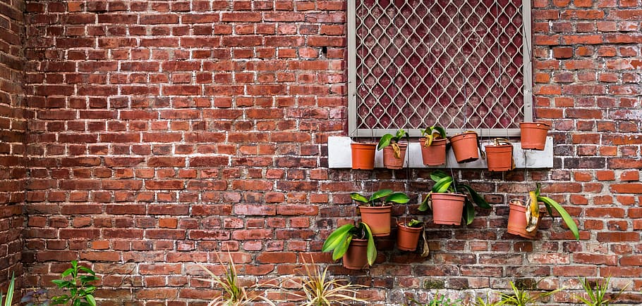 brick, wall, old, plant, green, grunge, dirty, block, brown HD wallpaper