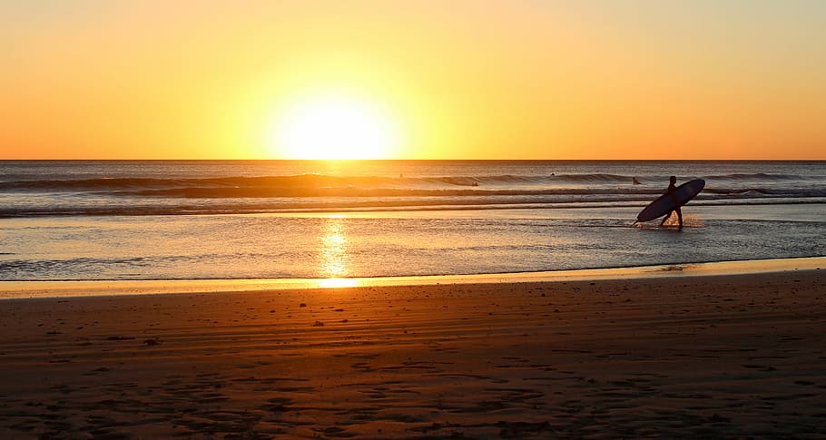 person walking on body of water while holding surfboard, person holding sufboard walking beside shore during sunset HD wallpaper