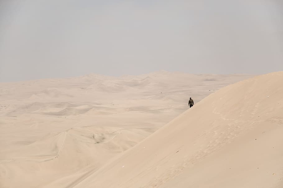 man standing on dessert, person walking on dessert, long, far HD wallpaper