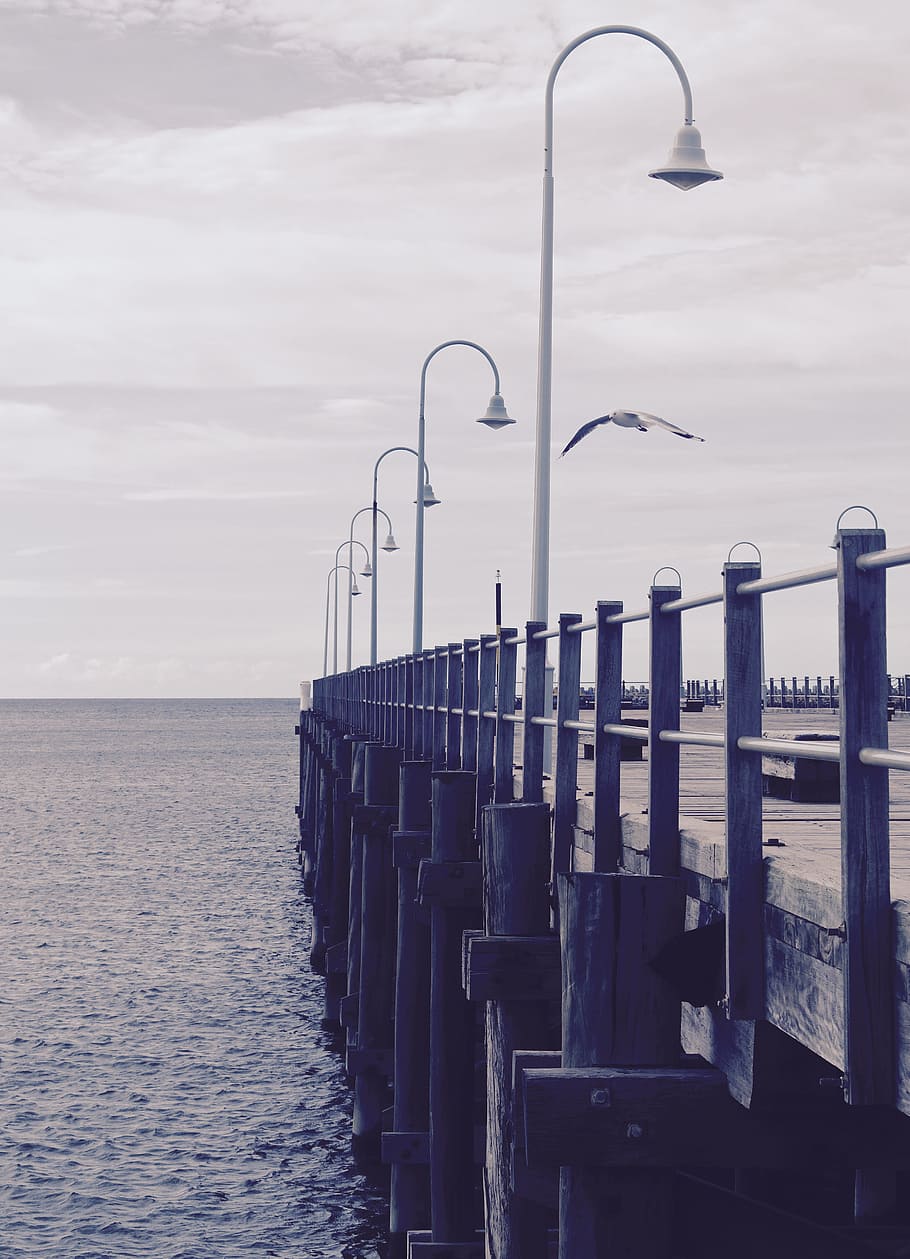 Image of Docking Pier With White Seagull Flying, beach, boardwalk HD wallpaper