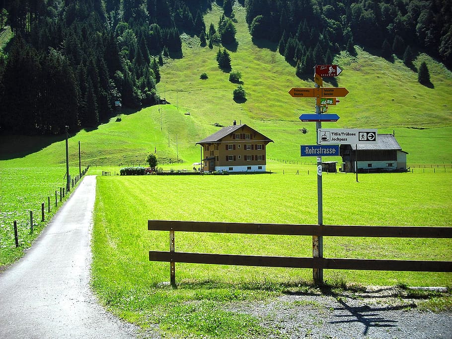 engelberg, switzerland, scenic, tourism, house, grassland, house in mountains, HD wallpaper