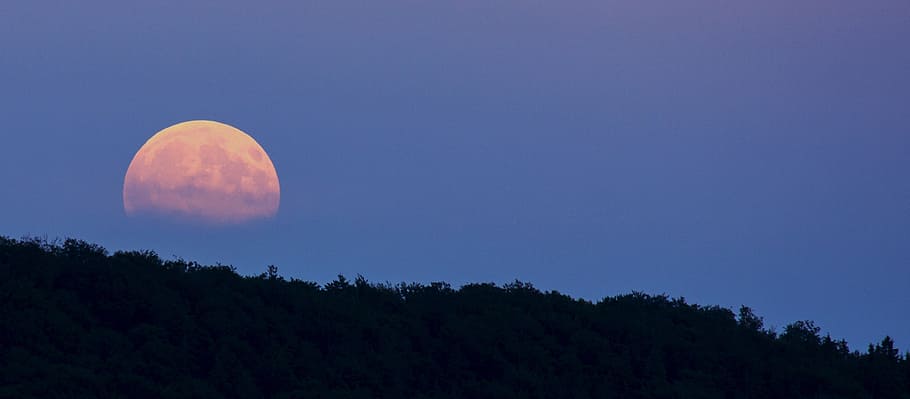 landscape photography of full moon, super moon, moonrise, night, HD wallpaper