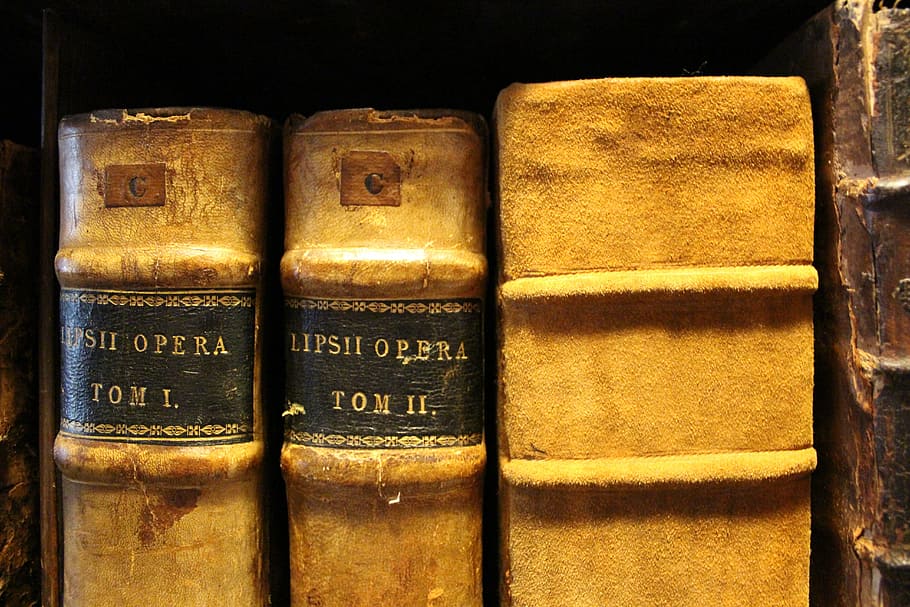 books, read, reading book, study, education, knowledge, literature HD wallpaper