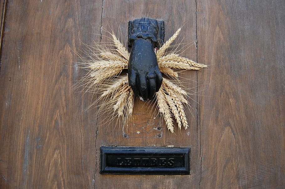 door, knocker, french, wood - material, no people, close-up HD wallpaper