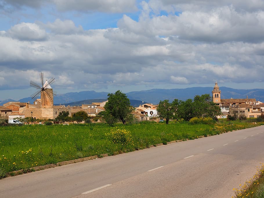 green leafed trees beside road during cloudy day, algaida, windmill HD wallpaper