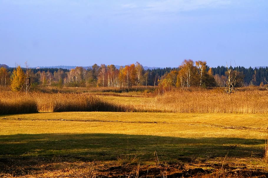 austria, landscape, scenic, fields, forest, trees, woods, fall HD wallpaper