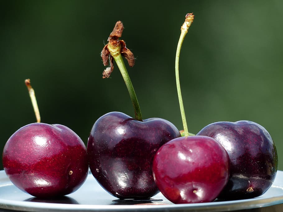 closeup photography of two cherry and two grapes on stainless steel tray HD wallpaper