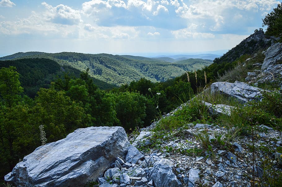 bükk, stone, rock, forest, hill, summer, landscape, nature, HD wallpaper