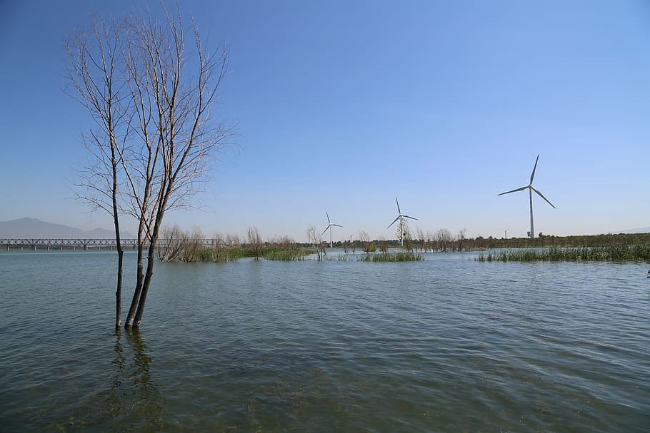 water, blue sky, windmill, environmental conservation, wind turbine HD wallpaper