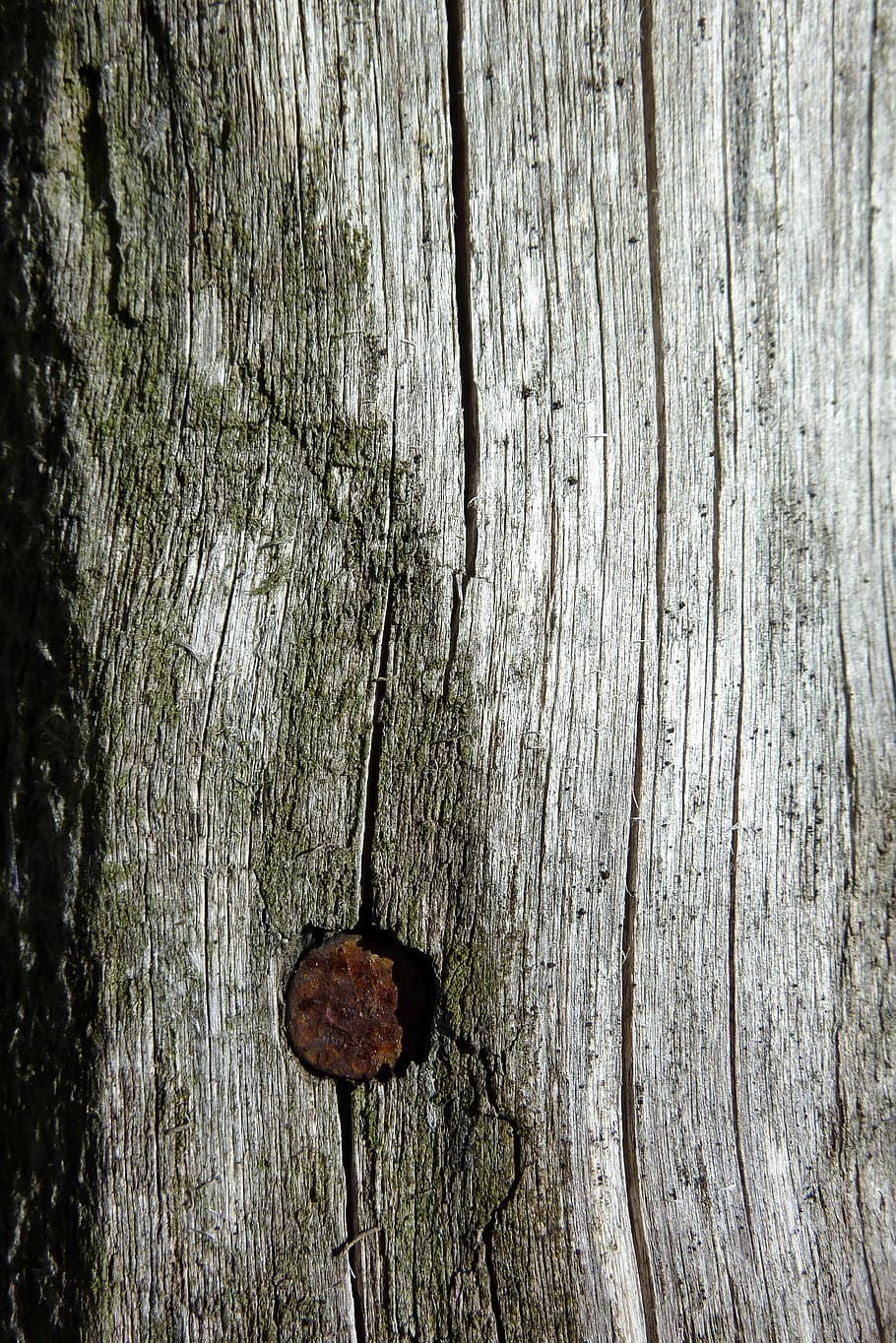 Wood, Ancient, Nail, Old, particular, used, fence, door, wood - material, HD wallpaper