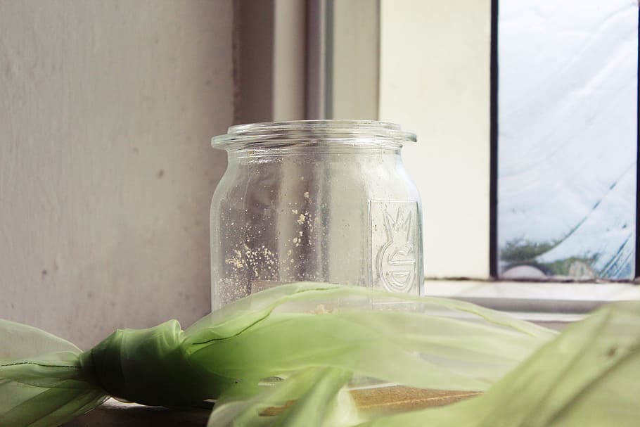 window, glass, vessel, deco, decoration, storage, container HD wallpaper
