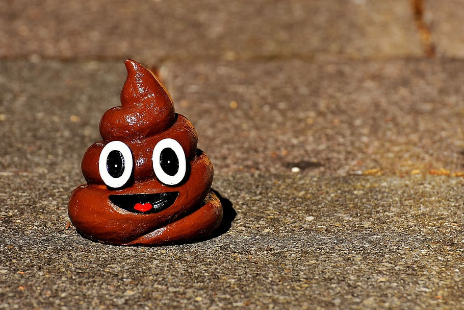 brown poop emoji figurine on brown surface, Kot, hundehaufen