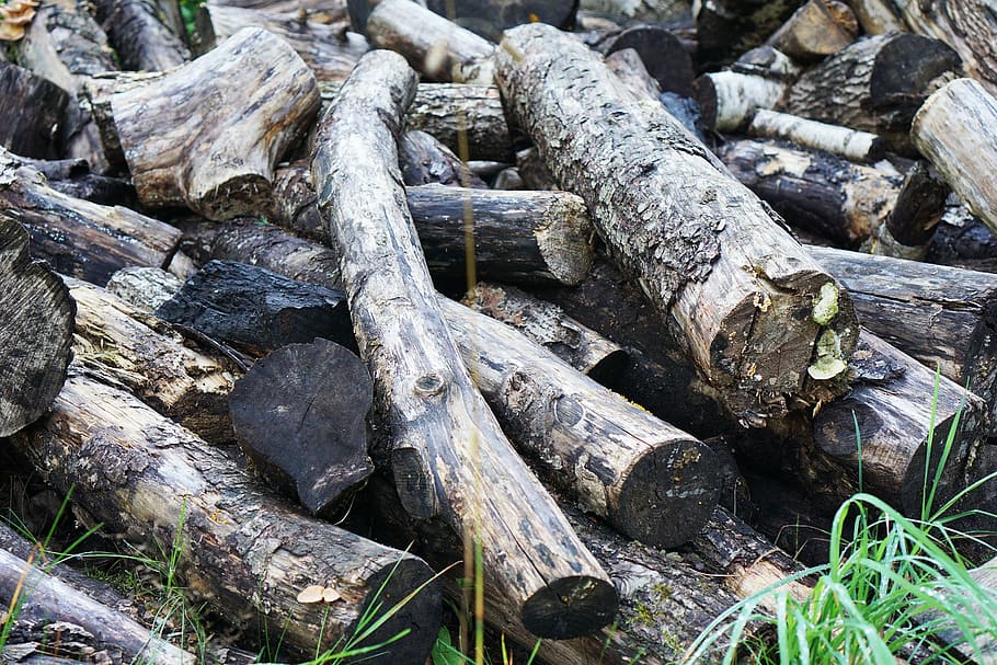 Wood, Logs, Branches, Old, no people, outdoors, day, nature HD wallpaper