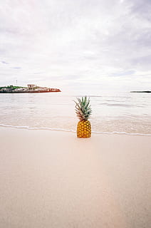 pineapple on seashore, beach, sand, seaside, tropical, summer HD wallpaper