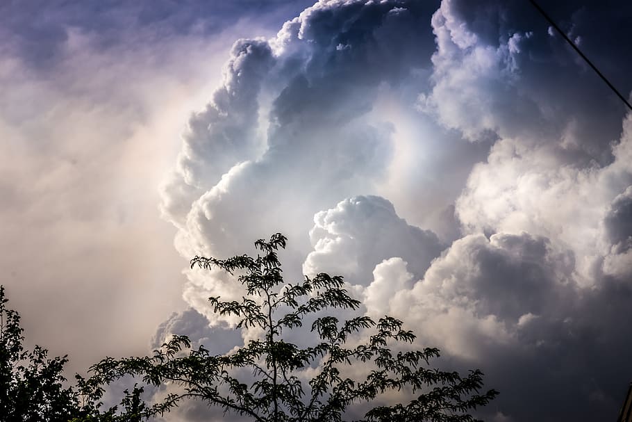 sky, clouds, trees, nature, cloud - sky, beauty in nature, scenics - nature HD wallpaper