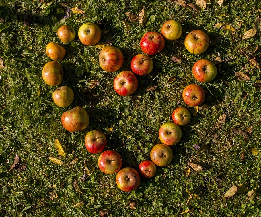 apples foring heart on grass, rush, fruit, love, eat, food, apple heart, HD wallpaper
