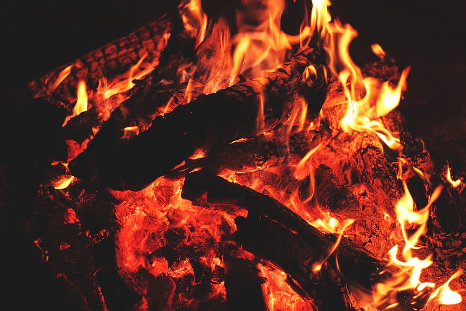 Burning wood on an open fire, various, fire - Natural Phenomenon, HD wallpaper