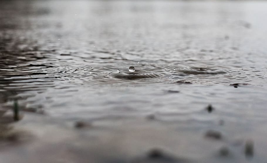 selective focus photo of water droplet, selective focus photography of water drop HD wallpaper