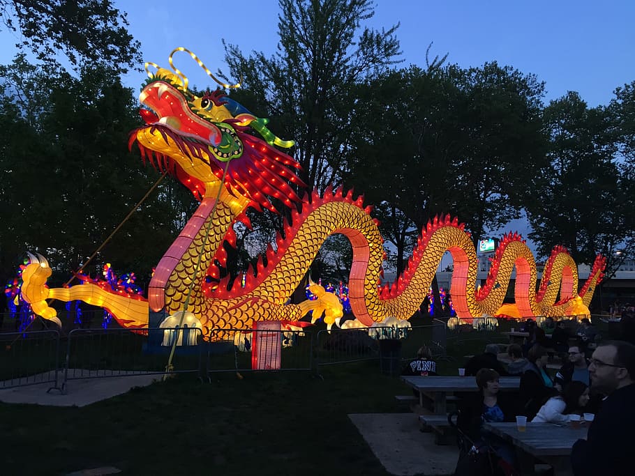 lighted sea dragon, chinese new year, festival, china, tradition, HD wallpaper