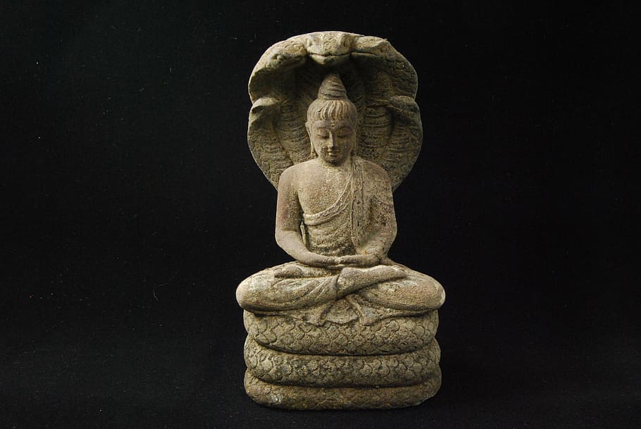 photo of gray concrete Buddha, meditate, naga, statue, buddhism
