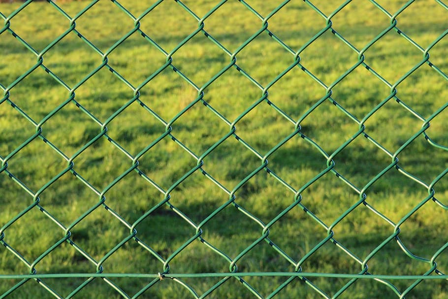 fence, wire mesh fence, green, garden fence, limit, braid, background, HD wallpaper