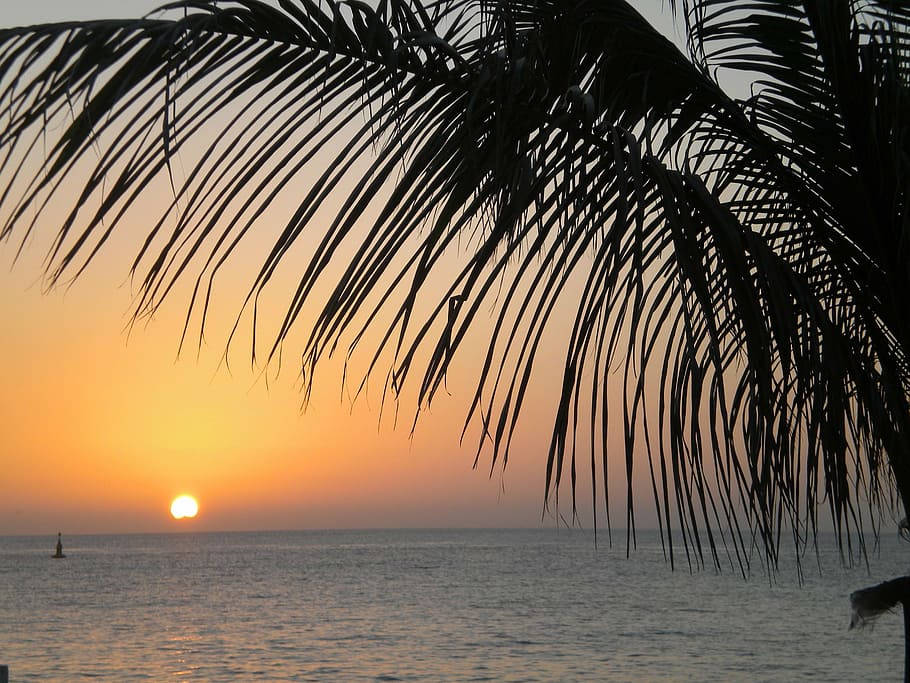 beach, mexico, sunset, sea, water, tropical climate, sky, beauty in nature HD wallpaper