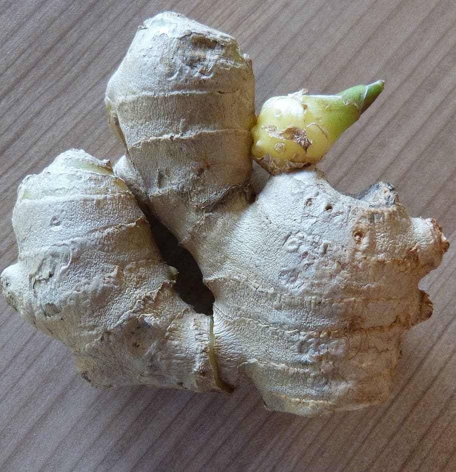 Ginger Root, Ingber, ginger plant, food, freshness, wood - Material HD wallpaper