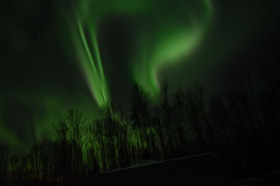 aurora, northern lights, night, green color, beauty in nature HD wallpaper