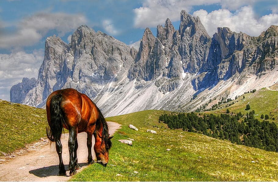 brown horse on gray sand, Dolomites, Mountains, Italy, South Tyrol, HD wallpaper