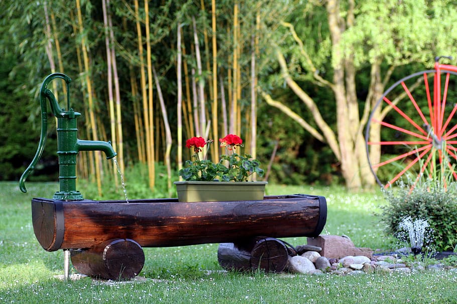 red petaled flower on gray pot, garden, geraniums, spring, bamboo HD wallpaper