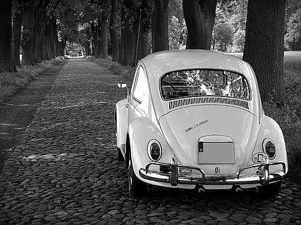 grayscale photography Volkswagen Beetle coupe parked between trees HD wallpaper