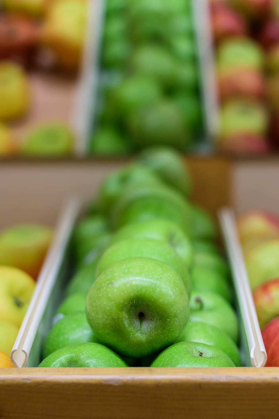 apples, fruit, fall, orchard, green, market, food and drink HD wallpaper