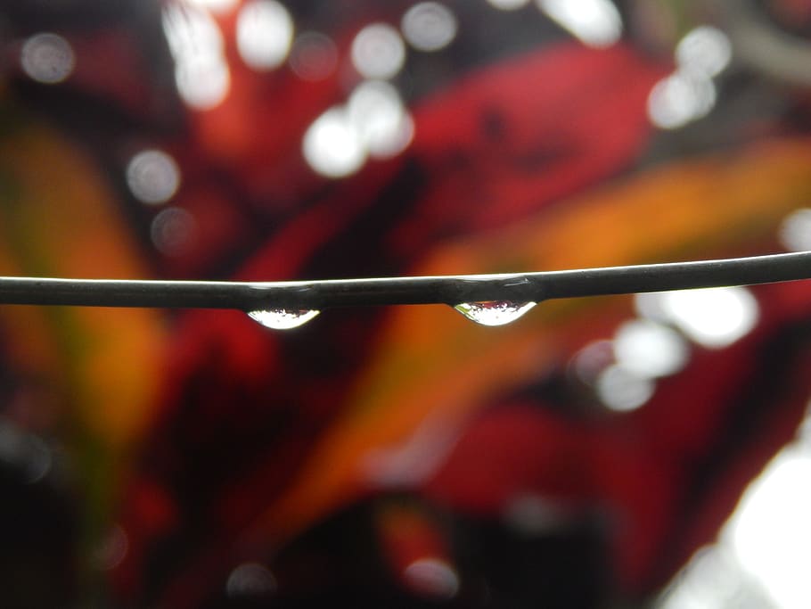 wire, wet, rain, drops, focus on foreground, close-up, red HD wallpaper