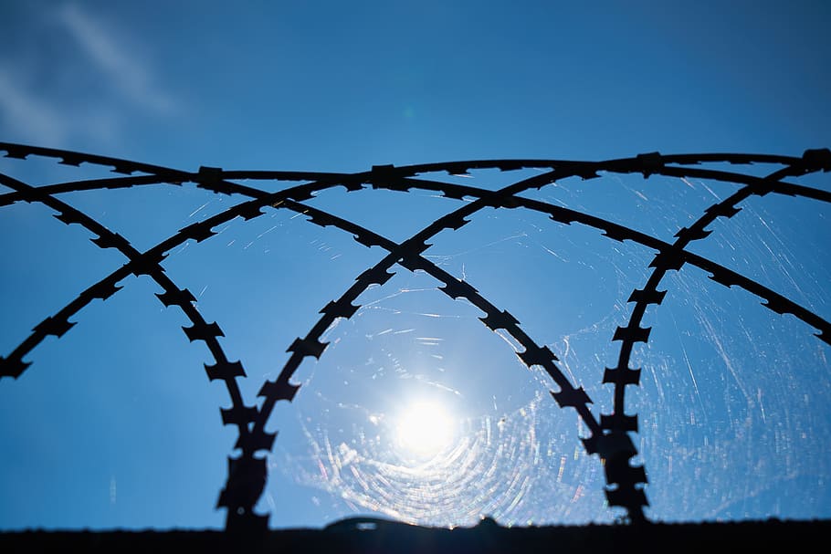 Barbed Wire, Detail, Shots, Macro, daniel, detail shots, prison HD wallpaper