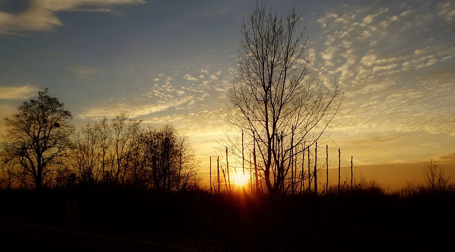 Sunset, Landscape, Beauty, scenically, winter, nature, silhouette HD wallpaper