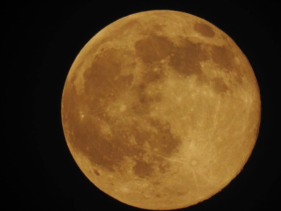 close-up photography of planet, Nature, Moon, Sky, Forest, River HD wallpaper