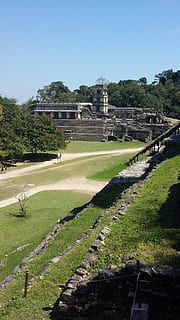 ruins, palenque, pyramids, plant, architecture, sky, travel destinations HD wallpaper