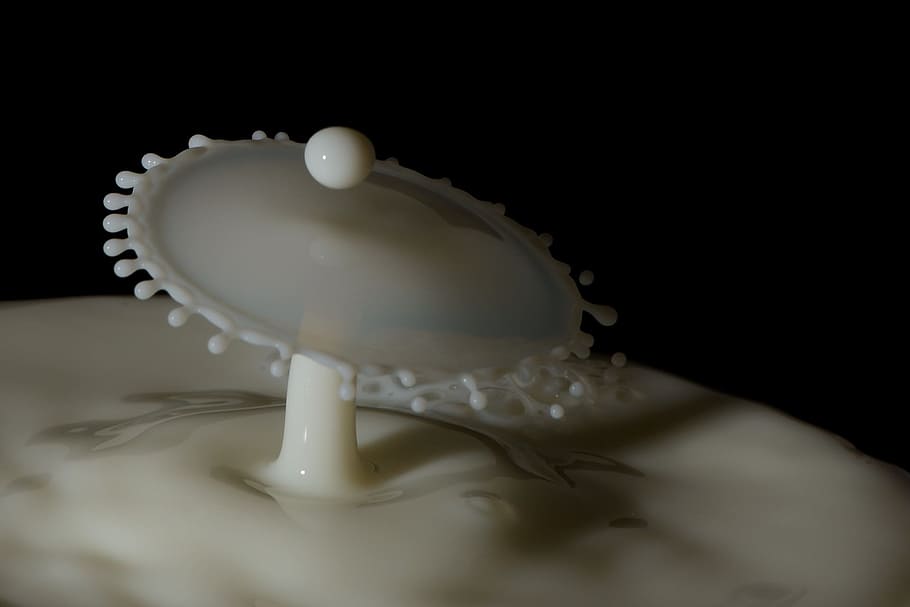 photo of white tear drop liquid, milk, droplets, splashing HD wallpaper