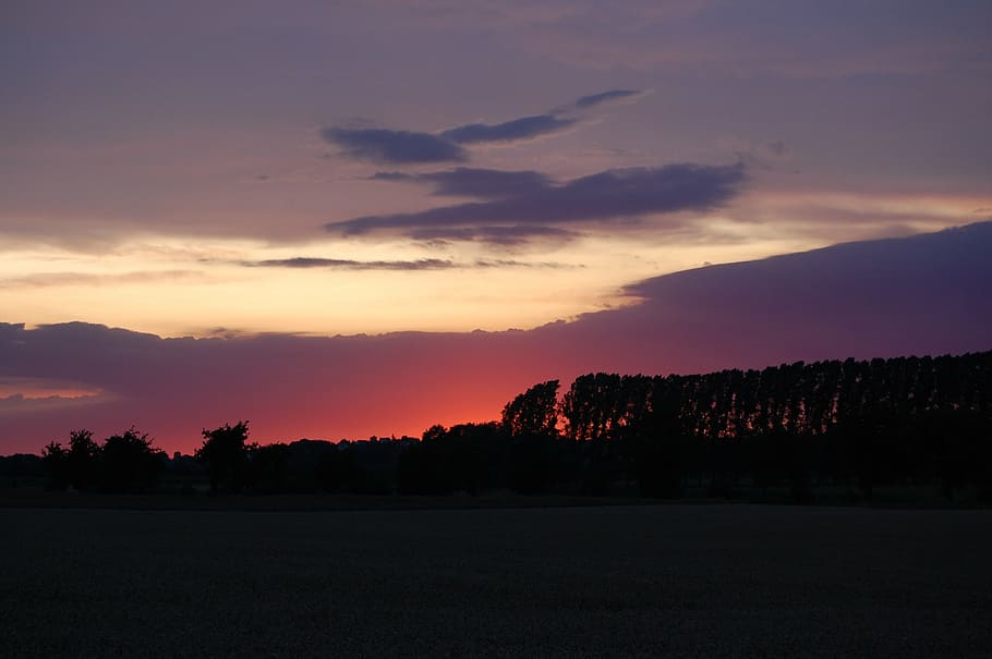 sunset, sky, landscape, cloud - sky, tree, environment, beauty in nature HD wallpaper