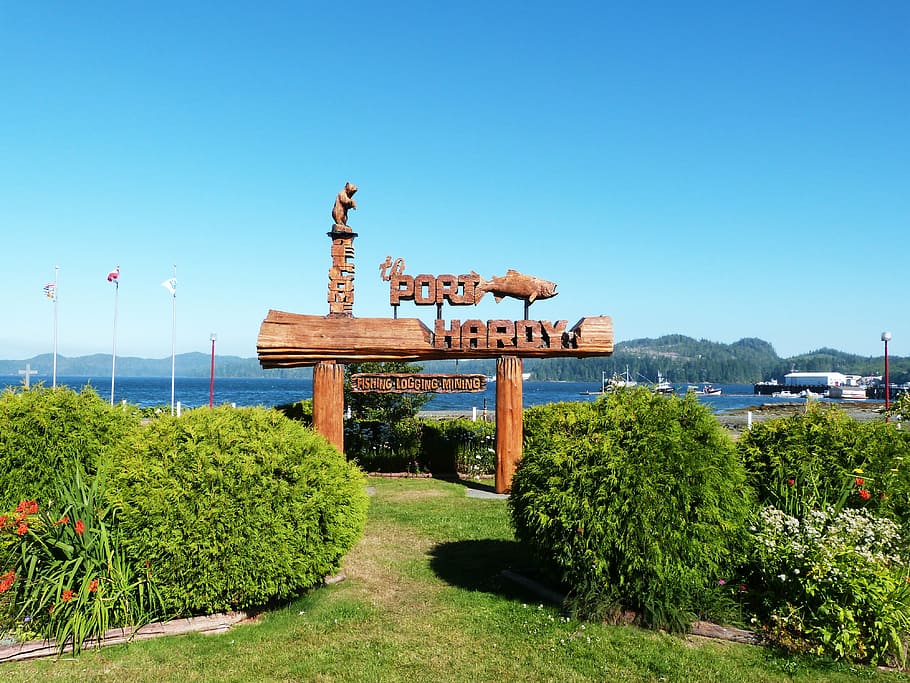 sign, city, port hardy, costa, vancouver, island, columbia, HD wallpaper